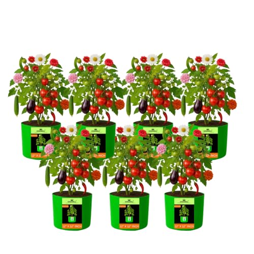 Image of Kingwell Plant Grow Bags 12x12 inch pack of 7, Bags for Plants Gardening Home, Grow Bags for Terrace Gardening