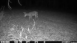 Review Image by Jmortimer Jmortimer