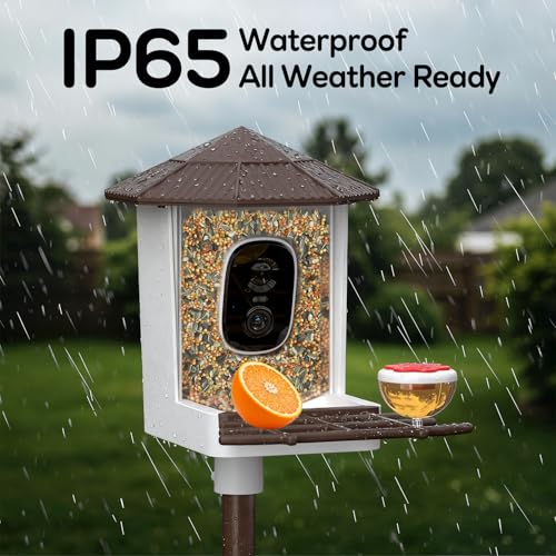 wansview 2K Bird Feeder with Camera Solar Powered 2 4G WiFi F1 Brown - image 7