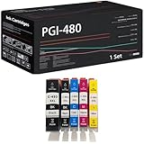 PGI-480 CLI-481 5 Pack Ink Cartridges Compatible for Canon PIXMA TS704 TR7540 TR8540 TS6140 TS8270 TS9170 TS9540 TS9541C Printers, High Yield 2285 Pages (1 Set)
