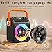 Imagen de HWWR Karaoke 2 Microfonos Inalambricos