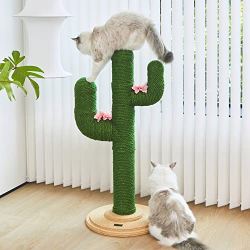 Cat Tree That Looks Like a Tree in 2022 (with Reviews!)