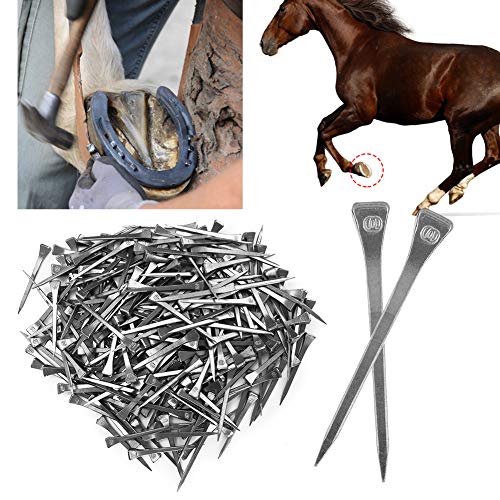 Stalen hoefnagel, hoefnagel, 250 STKS stevig vastzetten accessoire voor paardengereedschap Stalen hoefpen Paardbenodigdheden voor weidepaard Hoefijzeraccessoire - Afbeelding 4