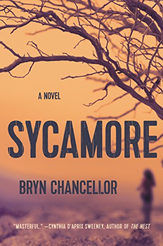 Sycamore: A Novel view 2