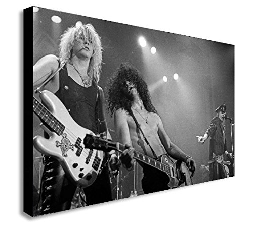 Guns n' Roses impression sur toile encadrée format A4