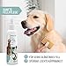 ReaVET Fellpflege Pflegespray Kokos 250ml - Sanftes Fellspray für Hunde & Katzen, Entfilzungsspray & Kämmhilfe, mit Kokosspray mit Kokosöl