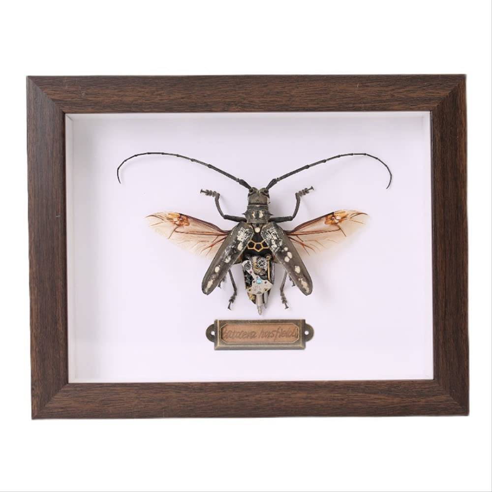Amazon.co.jp: スチームパンクな機械カミキリムシ昆虫標本手作りの創造
