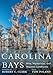 Carolina Bays: Wild, Mysterious, and Majestic Landforms