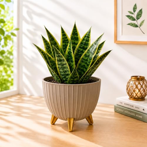 Image of Xmart India 7 Inch Decorative Plant Pot for Indoor & Outdoor Plants | Planter Pot with Stand & Legs |Ribbed Flower Pot for Home, Balcony, Garden, Living Room & Office | Plant Container (3, Ivory)