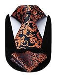HISDERN Orange Ties for Men Floral Men's Tie Paisley Tie Sets for Men Wedding Neckties for Men...