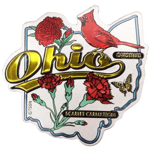 Imán decorativo de Ohio con diseño de cardinal y clavel rojo miniatura 1