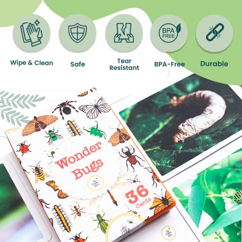 Image of Wonder Bugs | 36 Laminated Anti-Glare Cards | Montessori Inspired Fun & Easy to Learn Toys for Kids