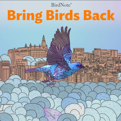 『Bring Birds Back』のカバーアート