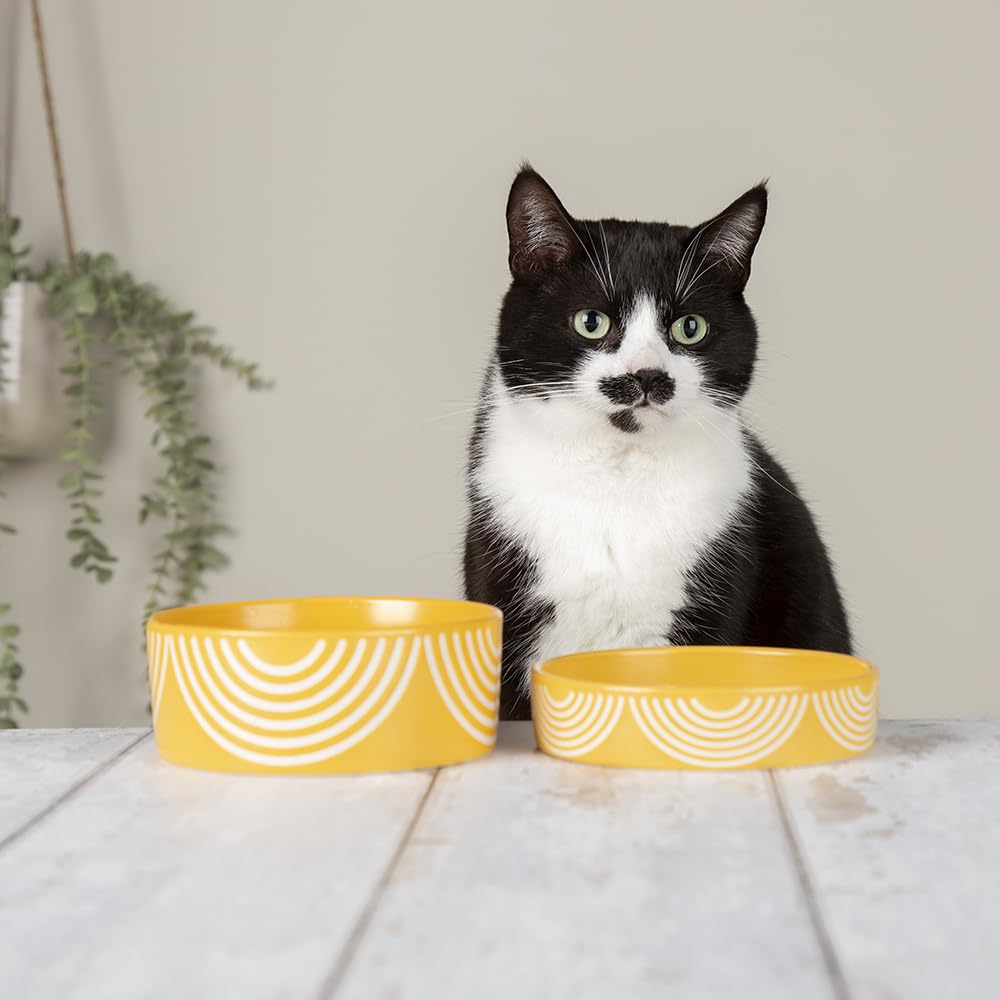 Scruffs Aztec 2pc Ceramic Cat Food & Drink Bowl Set - Sunflower