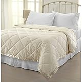 Home Fashion Designs Romana Collection Luxury Goose Down Alternative Quilted Blanket Brand (King, Ivory)