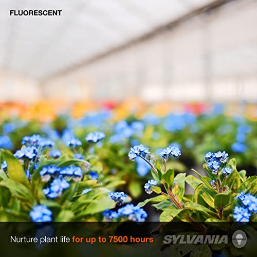 Ledvance Sylvania T8 Gro-Lux Fluorescent Tube Light Bulb, 15W, G12 Bi-Pin Base, 325 Lumens, Non-Dimmable, 5500K – 1 Pack (21657), White #TOP5