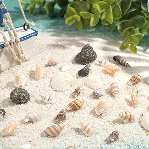 PandaHall Sea Shells, 466pcs 15 Style Spiral Shell Beads Undrilled Tiny Natural Sea Shell Ocean Spiral Seashells Miniature Shells for Resin Candle Party Wedding Decor Fish Tank Vase Filler, No Hole