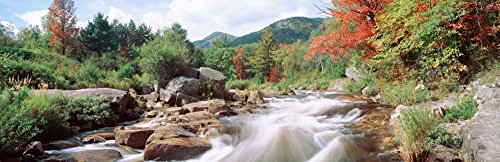 Posterazzi Flowing Through Rocks Ausable River Wilmington New York State USA Poster Print, (27 x 9)