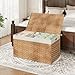 HOOBRO Storage Basket with Lid, 42.3 Gallon (160L) Wicker Basket, Handwoven Blanket Storage Basket with Handles, Metal Frame and Soft Lining, Foldable for Bedroom, Laundry Room, Natural NL216CW01