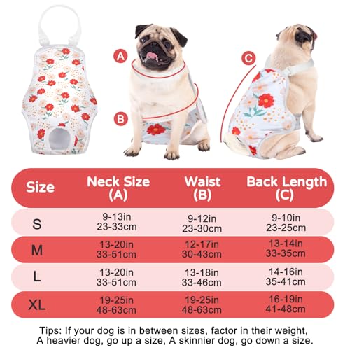 MICOOYO Hundewindel, Einteiler, Sanitärhöschen, Wiederverwendbare Hundewindeln für Hunde Welpen, waschbare Hundehose mit verstellbarem Hosenträger, Blumen, M