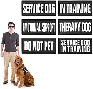 Molain Embroidered Dog Vest Patches with Hook and Loop, 6Pcs Removable Tactical Black Magic Sticker Patch for Dog Harness Service Dog Badge in Training(6Pcs Normal, 9x4cm)
