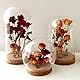 Pyuyan 2 Stück Glaskuppel Dome, Clear Cloche, Mini Glaskuppel, Display Dome Glas, Vitrine Glocke, Glocke Mit Korkboden, für Pflanzen Blume Display Hochzeit Party Favors Xmas DIY Craft
