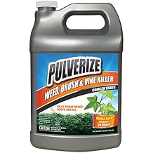 Weed Brush and Vine Killer, Fast Acting, Non-Staining, Safe for People and Pets, All Year Round, Herbicide for Poison Ivy, Vines, and Weeds, Concentrate - 1 Gallon