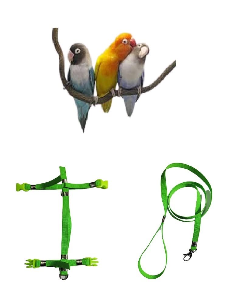 Arnés para loros con cinta elástica negra y almohada regulable de 95cm para pasear