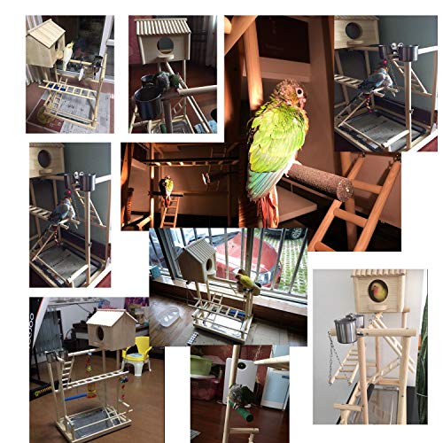 WANGYONGQI Large Bird Perches Play Stand Gym Parrot Playground
