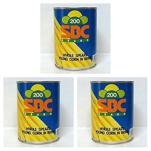 ۋ ^CY OR[ 3×3 퉷(܂Ƃߔ) (VandroStEINDEXBOX)