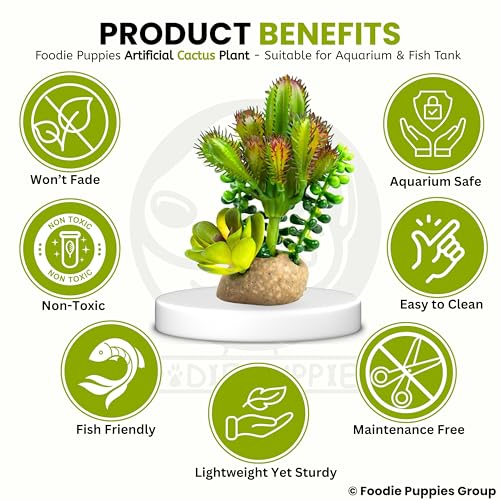 Image of Foodie Puppies Aquarium Plastic Plant with Resin Base - (Cactus Plant, 4.5 x 4 x 12.5 cm) for Fish Tank, Freshwater & Saltwater Natural Decor