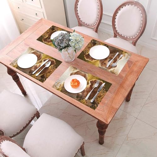 Set de table antidérapant et résistant à la chaleur lot de 6