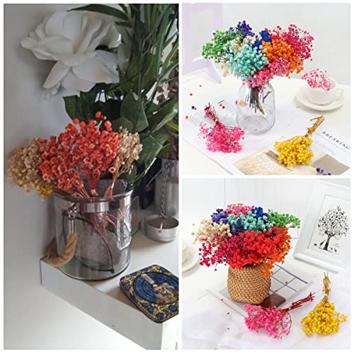 Mini ramo de flores secas Gypsophila 12cm natural miniatura 7