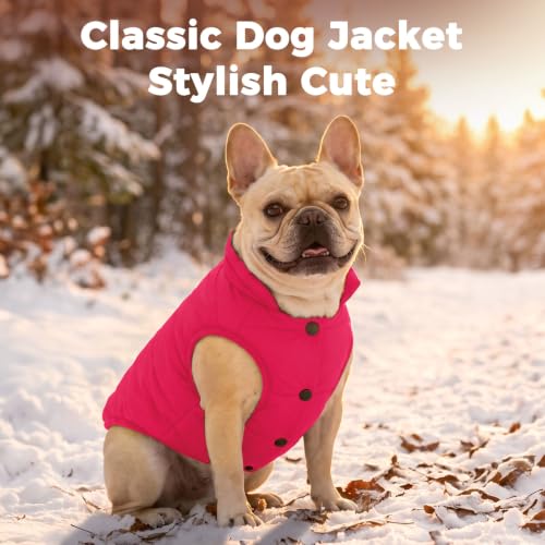 Image of JoyDaog Fleece Lined Dog Jacket for Small Dogs,Winter Dog Coat,Pink XS | Warm Windproof Puppy Vest for Cold Weather,Soft Cozy Doggie Clothes for Smaller Dog Breeds,Indoor Sleeping,Daily Walk