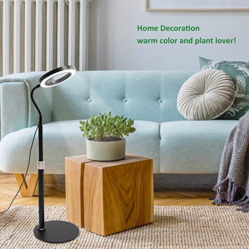Rlaxbee Grow Light For Indoor Plants, Full Spectrum Led Plant Lamp With Stand Flexible Gooseneck Height Adjustable 8/9/12H Automatic Timer 3 Colors Spectrum Sun Lamp For Plants (Black M) #TOP6