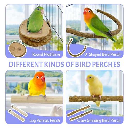 Image of PINVNBY 6 PCS Natural Bird Perches Wooden Parrot Perch Sets Bird Perches for Cage Parakeet Platform Hammock Paw Grinding Fork Chewing Stick for Budgies Conures Finches Cockatiels Lovebirds