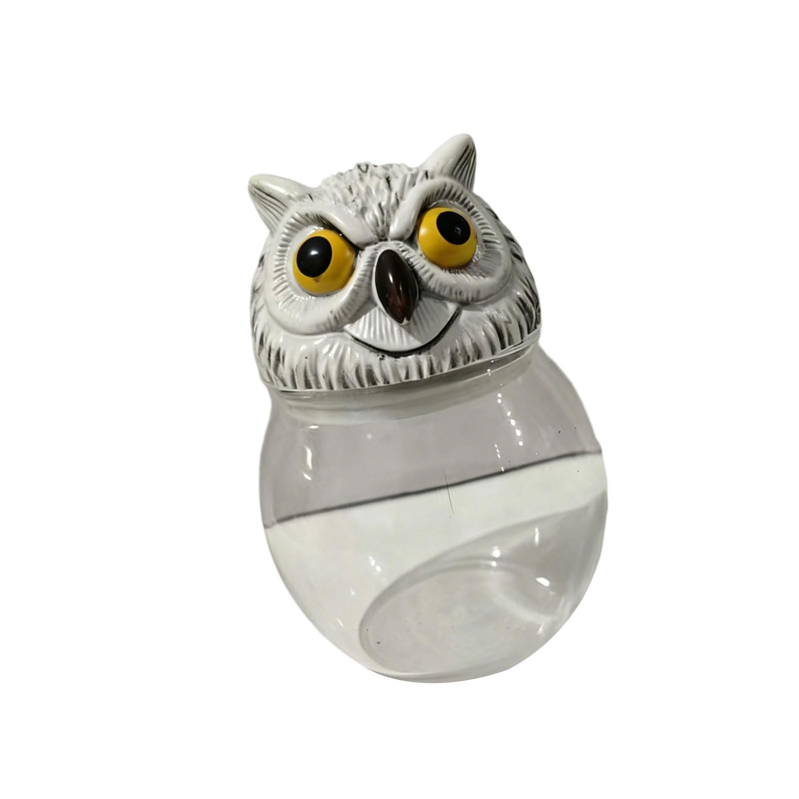 Qusinfc Clear Apothecary Condiment Canisters with Owl Head Lid Witch Seasoning Jar Food Storage Container for Home Decors Multipurpose Seasoning Jars