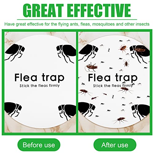 Control de plagas con discos de repuesto para trampas de pulgas e insectos 7