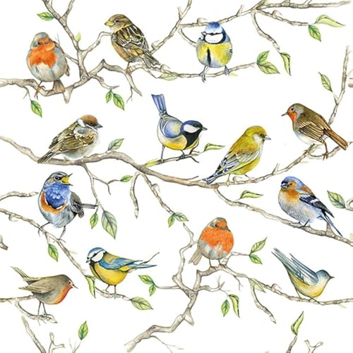 20-ct-65-Bird-Napkins-for-Decoupage-Beautiful-Napkins-Bird-Paper-Napkins-Mothers-Day-Napkins-Spring-Napkins-Paper-Decorative-Napkins-Decoupage-All-Season-Napkins-Pretty-Napkins-Fathers-napkins 20 ct 65 Bird Napkins for Decoupage Beautiful Napkins Bird Paper Napkins Mothers Day Napkins Spring Napkins Paper Decorative Napkins Decoupage All Season Napkins Pretty Napkins Fathers napkins
