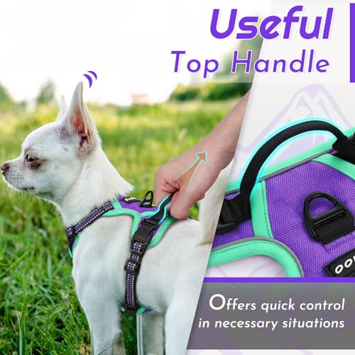Image of Eagloo Dog Harness for Small Dogs, No Pull Pet Vest with 2 Leash Clips