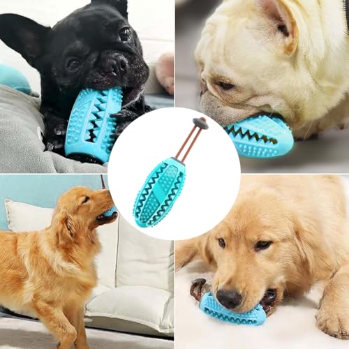 NIEEKRUN Hundespielzeug Intelligenz, Leckerli Ball für Hunde, Starker Futterball Naturkautschuk und Zahnpflege, Kleine und Große Hunde Hundespielzeug Unzerstörbar (11,5 * 5cm Blau)