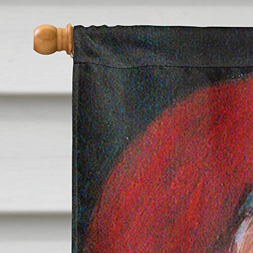 Drapeau de Noël Pjc1001chf résistant aux intempéries grand format motif Santa Claus