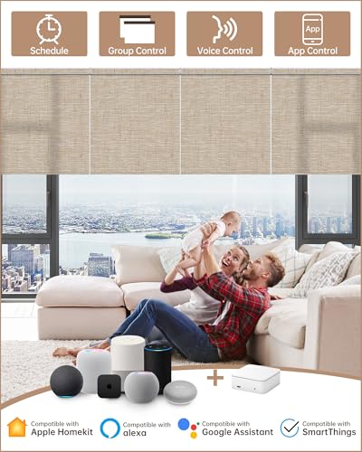 Smart home Alexa hub