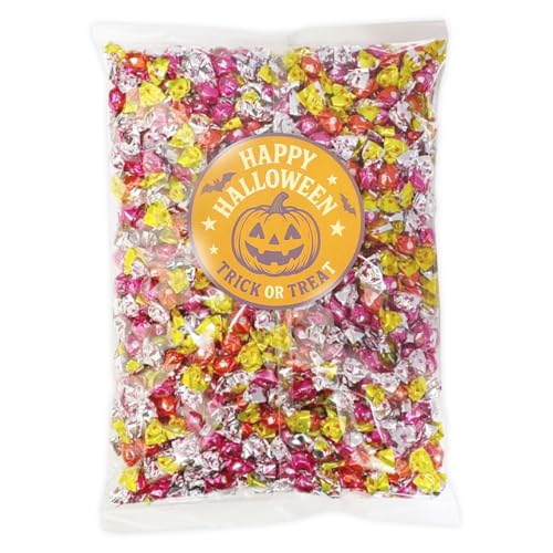 yHWXebJ[tz `[ ܂ I[V[Y`R 1kg rbOVFApbN e Ɩp  I[V[Y `R[g Ăłnɂ 