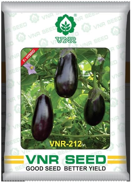 vnr 212 f1 hybrid brinjal seeds 2000 Per Packet (B0DF2C29D8) Amazon Price History, Amazon Price Tracker