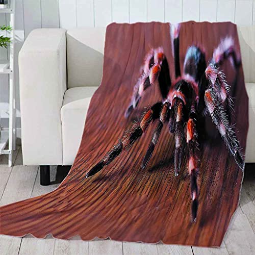 Couverture araignée 3D pour vos soirées cocooning et déplacements - 4