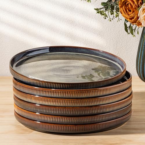 theterra Dinner Plates Set of 6, 10.25 Inch Ceramic Dinner