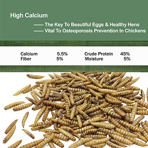 LIWII Dried Black Soldier Fly Larva 5 LBS100 Natural NonGMO Extra