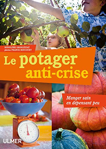 Télécharger Le Potager anti-crise. Manger sain en dépensant peu PDF