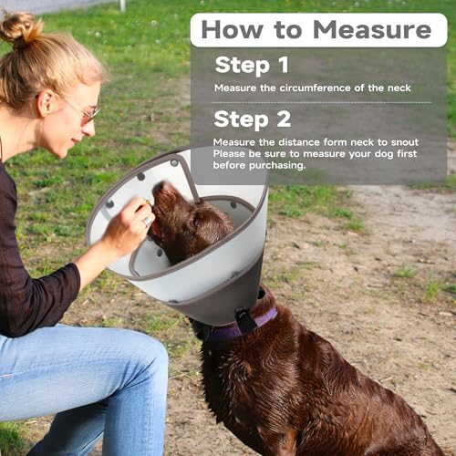 Image of Soft Dog Cone Collar After Surgery,Clear Padded Collar,E-Collars for Dogs to Prevent Licking Wound, Adjustable Dog Recovery Elizabethan Collar S